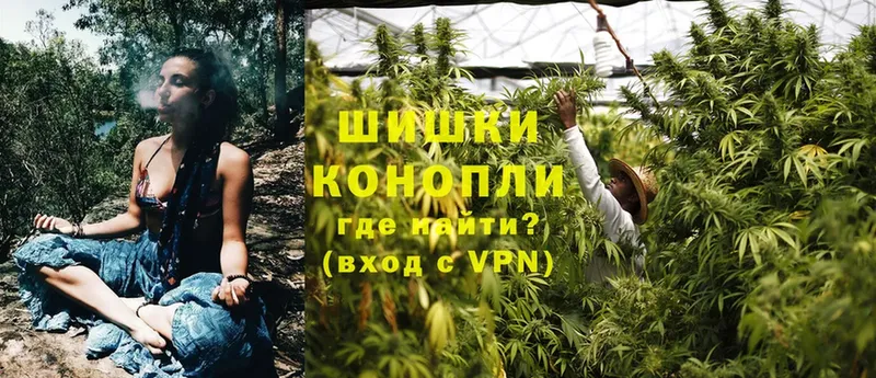 Каннабис OG Kush  Аткарск 